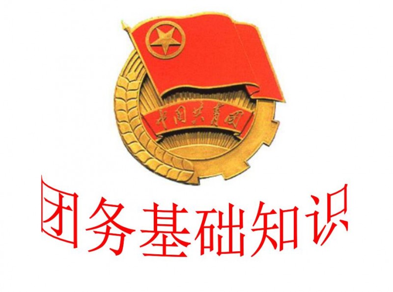 中國共青團團務知識